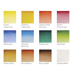 Winsor & Newton Cotman Watercolors - Sketcher's Pocket Set of 12, Assorted Colors, Half Pans, swatches