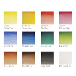 Winsor & Newton Cotman Watercolors - Customizable Travel Set of 12, Assorted Colors, Half Pans, swatches