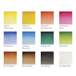 Winsor & Newton Cotman Watercolors - Field Travel Set of 12, Assorted Colors, Half Pans, swatches