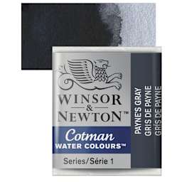 Winsor & Newton Cotman Watercolor Half Pan - Payne's Gray and swatch
