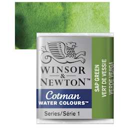 Winsor & Newton Cotman Watercolor Half Pan - Sap Green and swatch