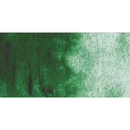 Winsor & Newton Cotman Watercolor Half Pan - Hookers Green Dark swatch