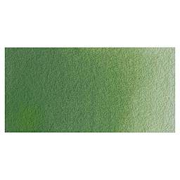 Old Holland Classic Artist Watercolor - Chromium Oxide Green swatch