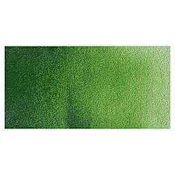 Old Holland Classic Artist Watercolor - Sap Green Lake Extra swatch