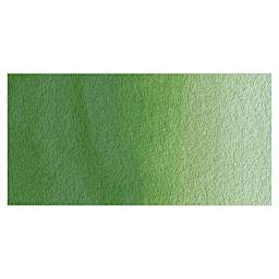 Da Vinci Artists Permanent Watercolor - Chromium Oxide Green swatch