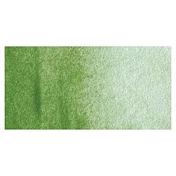 Maimeri Blu Artist Watercolor - Green Earth swatch