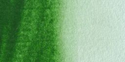 Maimeri Blu Artist Watercolor - Hooker's Green swatch