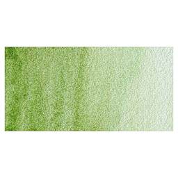 Maimeri Blu Artist Watercolor - Sap Green swatch