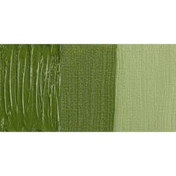 Gamblin Artist's Oil Color - Bush Green, swatch