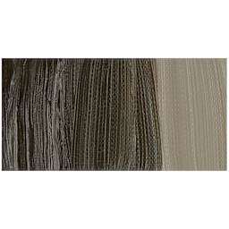 Gamblin Artist's Oil Color - Raw Umber swatch