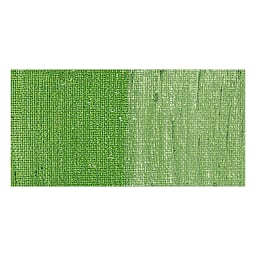 Shiva Oilstik Oil Paint - Iridescent Leaf Green swatch