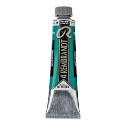 Rembrandt Artists' Oil Color - Sèvres Green, 40 ml tube