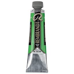 Rembrandt Artists' Oil Color - Permanent Green Light, 40 ml tube