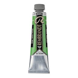 Rembrandt Artists' Oil Color - Permanent Green Medium, 40 ml tube