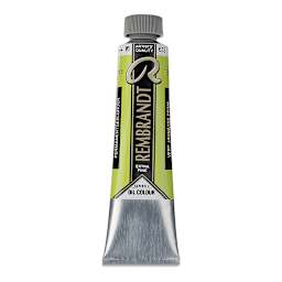 Rembrandt Artists' Oil Color - Permanent Yellowish Green, 40 ml tube