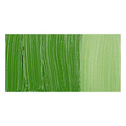 Rembrandt Artists' Oil Paint - Cinnabar Green Medium swatch