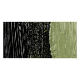 Rembrandt Artists' Oil Paint - Olive Green swatch