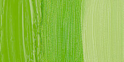 Rembrandt Artists' Oil Paint - Permanent Yellow Green swatch