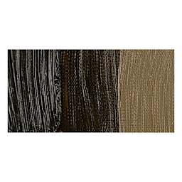 Rembrandt Artists' Oil Paint - Raw Umber swatch
