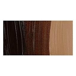 Rembrandt Artists' Oil Paint - Stil De Grain Brown swatch