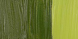 Rembrandt Artists' Oil Paint - Transparent Yellow Green swatch