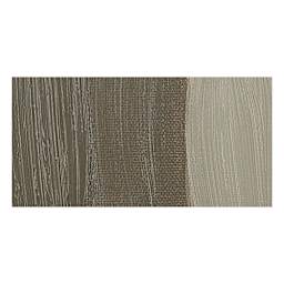 Rembrandt Artists' Oil Paint - Warm Gray swatch