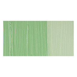 Holbein Artists' Oil Color - Compose Green swatch