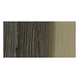 Holbein Artists' Oil Color - Raw Umber swatch