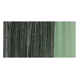 Holbein Artists' Oil Color - Terre Verte swatch