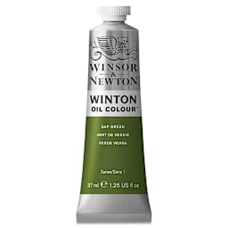 Winsor & Newton Winton Oil Color - Sap Green, 37 ml tube