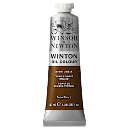 Winsor & Newton Winton Oil Color - Burnt Umber, 37 ml tube