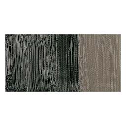 Winsor & Newton Winton Oil Color - Raw Umber swatch