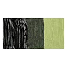 Winsor & Newton Winton Oil Color - Sap Green swatch
