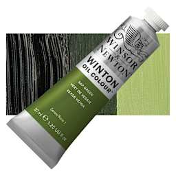 Winsor & Newton Winton Oil Color - Sap Green, 37 ml tube and swatch