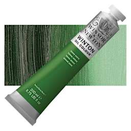 Winsor & Newton Winton Oil Color - Terre Verte, 200 ml tube and swatch