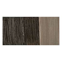 Winsor & Newton Winton Oil Color - Van Dyke Brown swatch