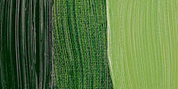 Grumbacher Pre-Tested Artists' Oil Color - Phthalo Green (Yellow Shade) swatch