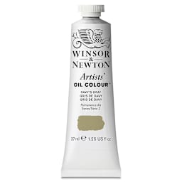 Winsor & Newton Artists' Oil Color - Davy's Gray, 37 ml tube