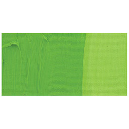 Winsor & Newton Artists' Oil Paint - Cadmium Free Green Pale swatch