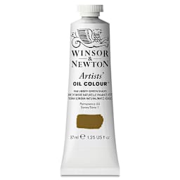 Winsor & Newton Artists' Oil Color - Raw Umber (Green Shade), 37 ml tube