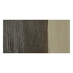 Winsor & Newton Artists' Oil Paint - Raw Umber swatch