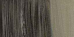 Winsor & Newton Artists' Oil Paint - Raw Umber (Green Shade) swatch