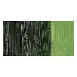 Winsor & Newton Artists' Oil Paint - Sap Green swatch