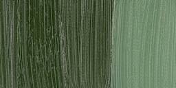 Holbein Duo Aqua Water Soluble Oil Paint - Terre Verte Hue swatch