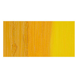 Old Holland Classic Oil Paint - Gamboge Lake Extra swatch