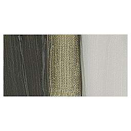 Winsor & Newton Griffin Alkyd - Davy's Gray swatch