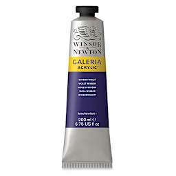 Winsor & Newton Galeria Flow Acrylics - Winsor Violet, 200 ml tube