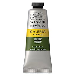 Winsor & Newton Galeria Flow Acrylics - Olive Green, 60 ml tube
