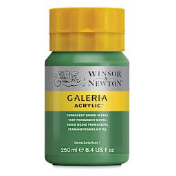 Winsor & Newton Galeria Flow Acrylics - Permanent Green Middle, 250 ml tube