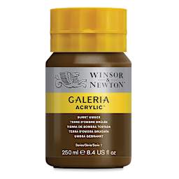 Winsor & Newton Galeria Flow Acrylics - Burnt Umber, 250 ml tube